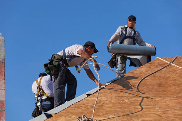 Best Gutter Installation and Roofing  in Comer, GA