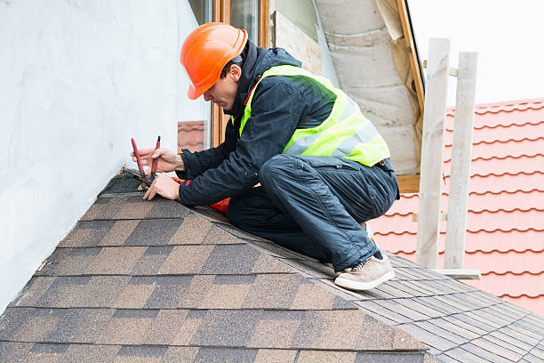 Best Roof Gutter Cleaning  in Comer, GA
